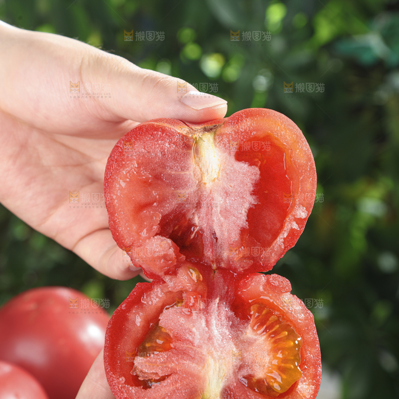 普罗旺斯西红柿