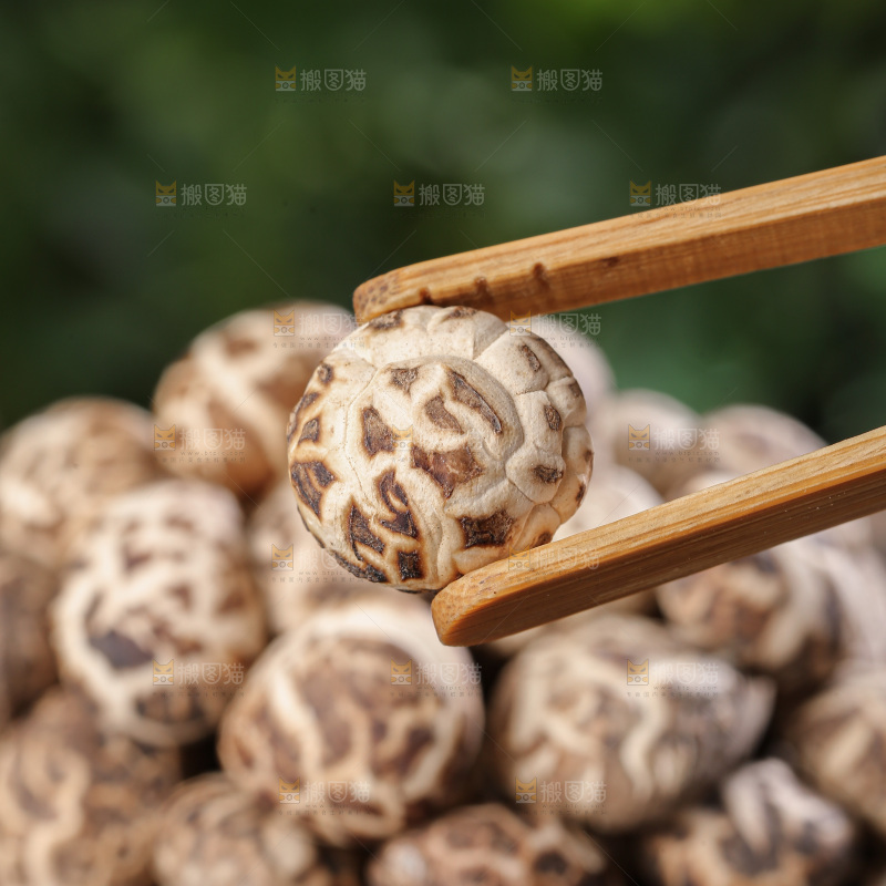 小花菇