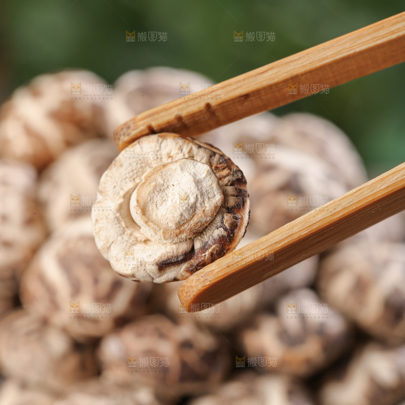 小花菇