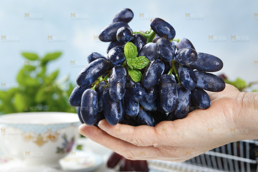 蓝宝石葡萄