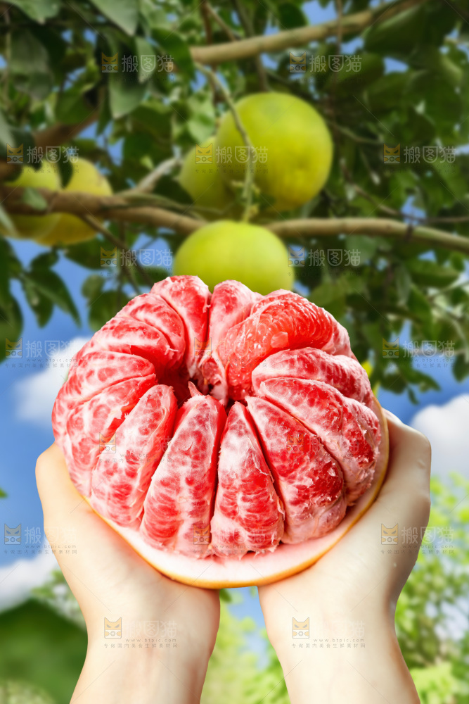 红心蜜柚