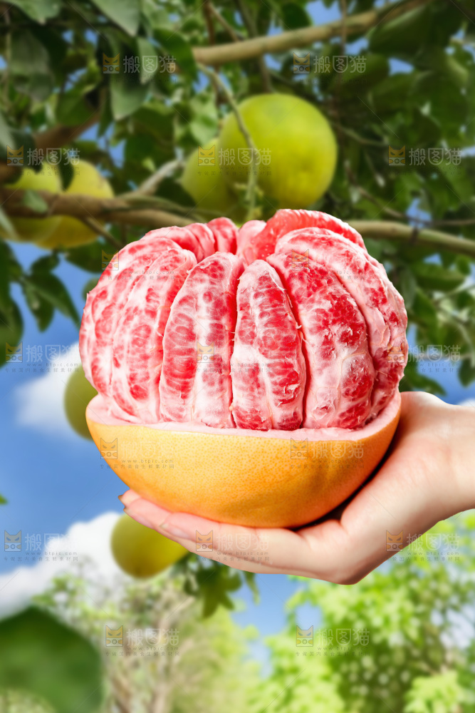 红心蜜柚