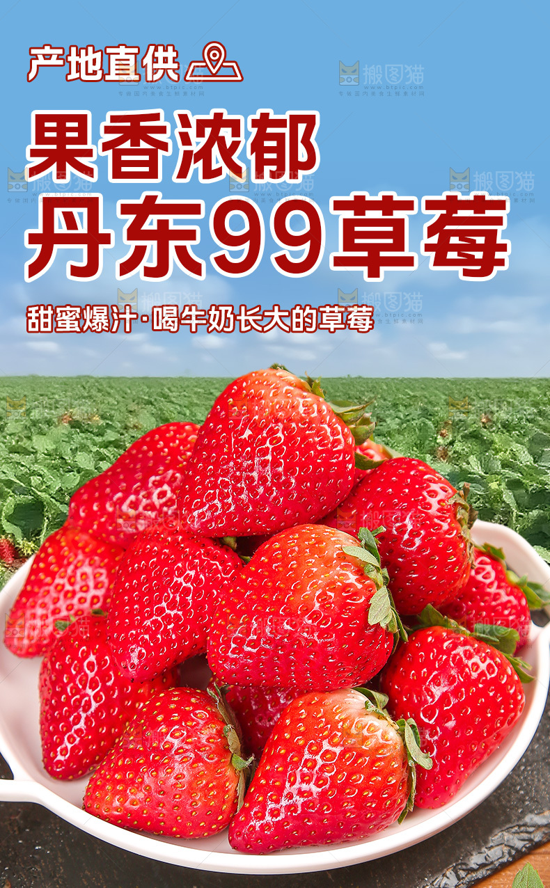 草莓详情页