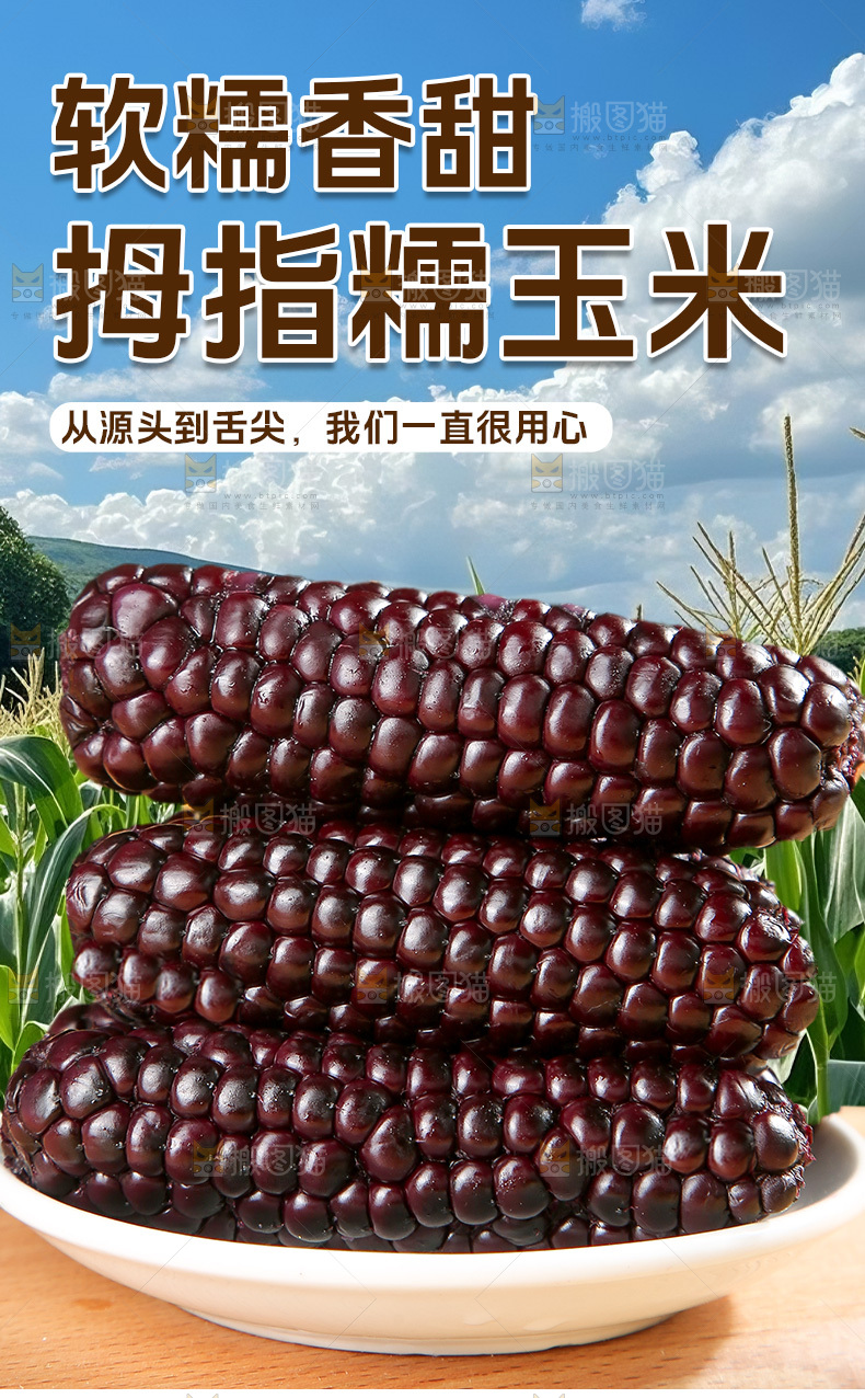 拇指黑糯玉米详情页