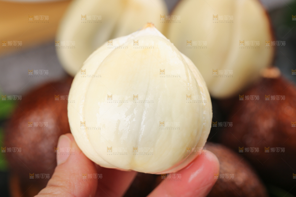蛇皮果
