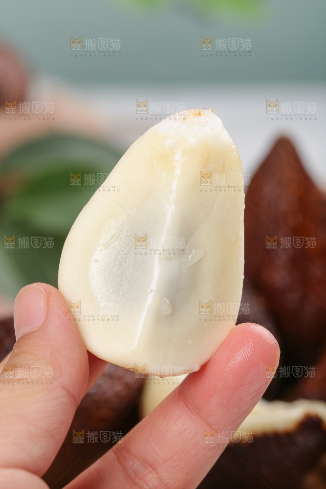 蛇皮果