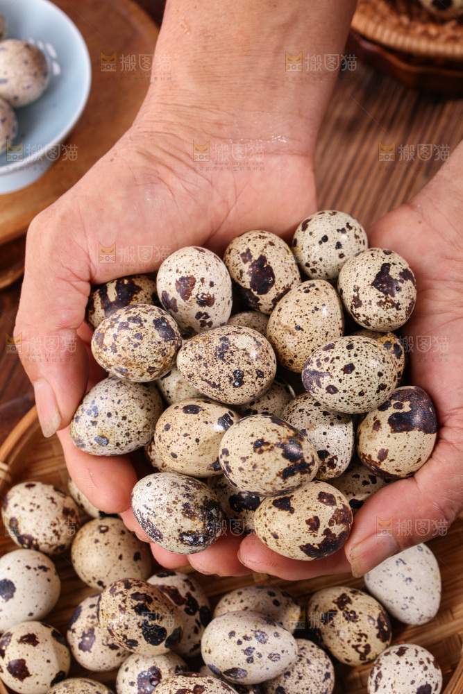 鹌鹑蛋