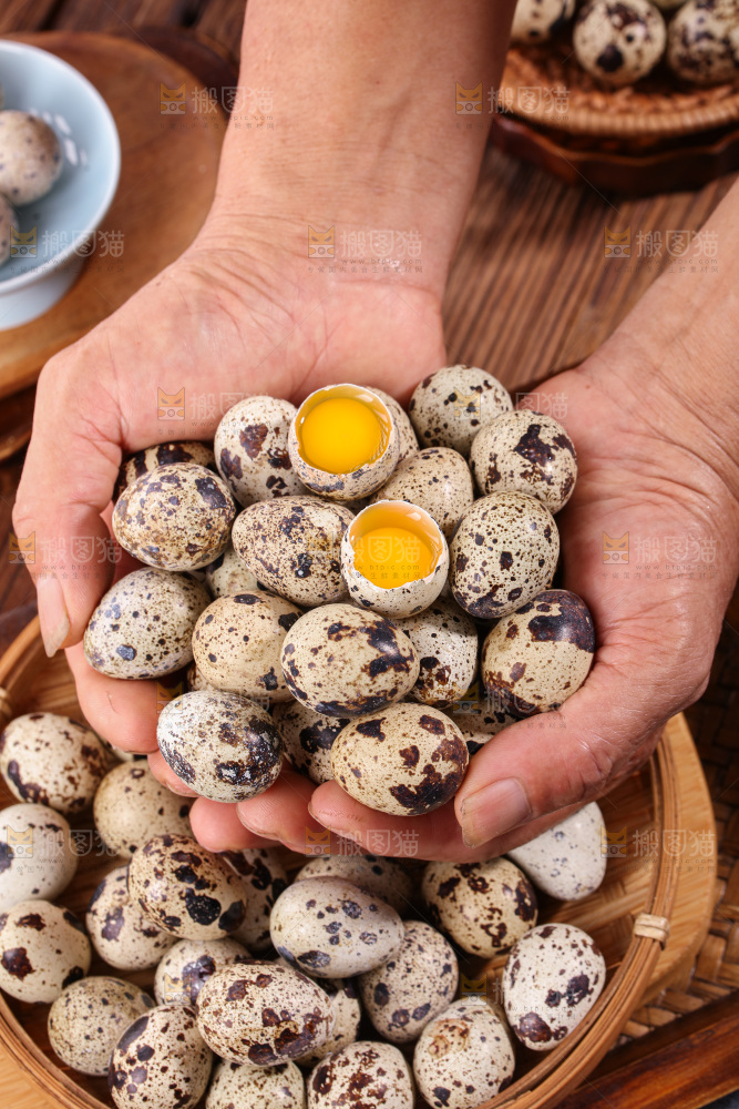 鹌鹑蛋