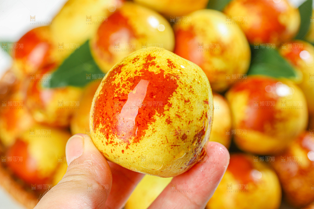 冬枣