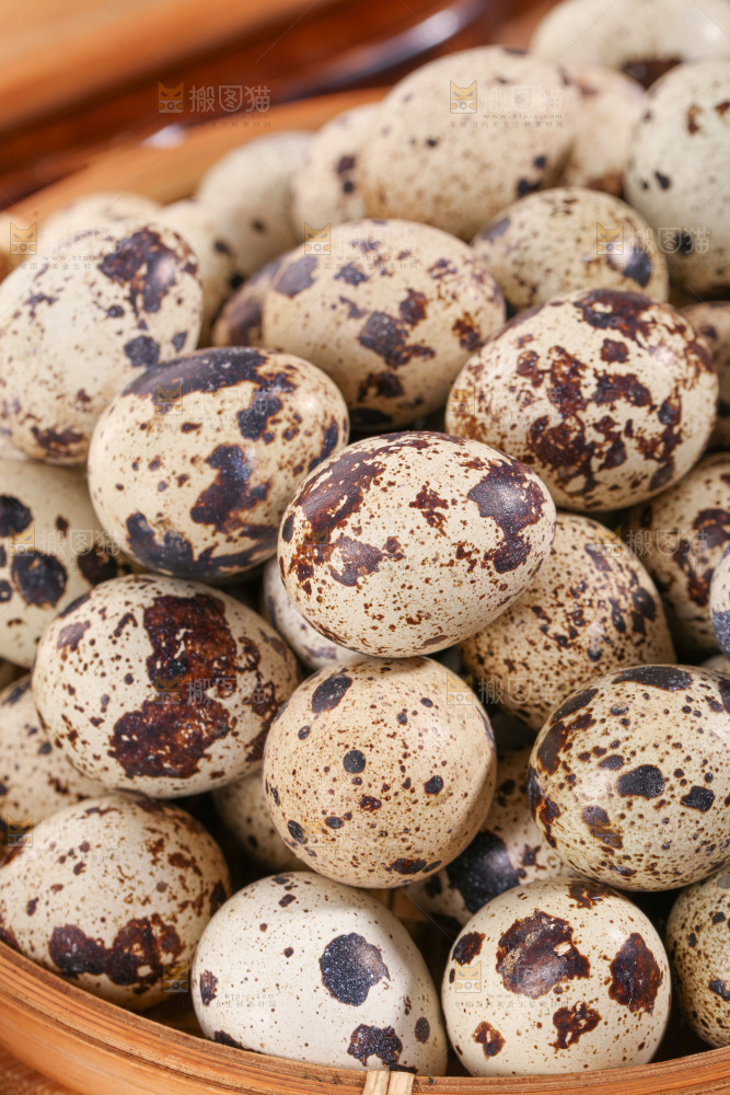 鹌鹑蛋