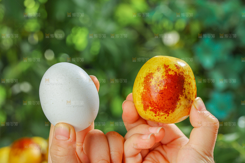 冬枣