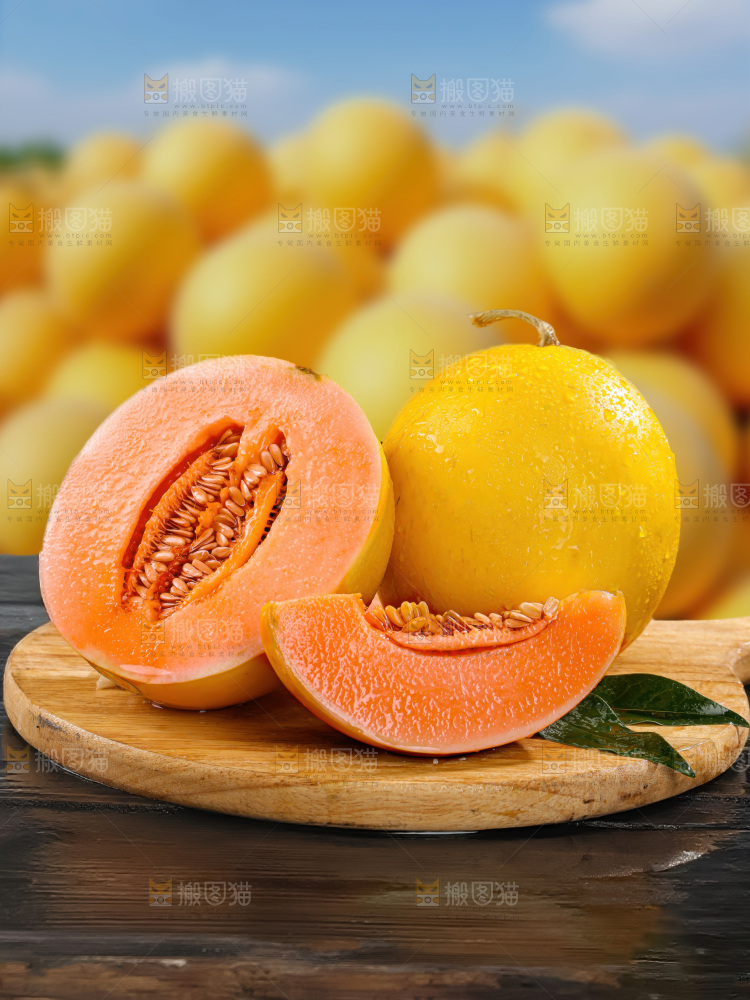 黄河蜜瓜
