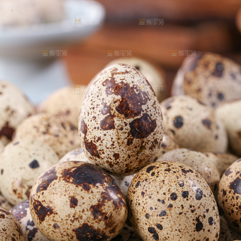 鹌鹑蛋