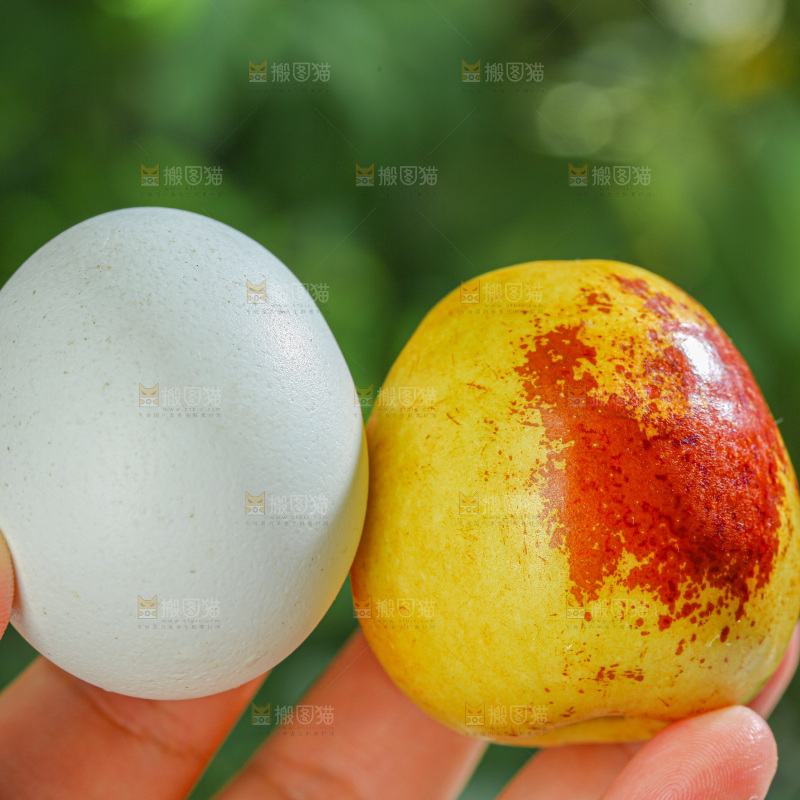 冬枣