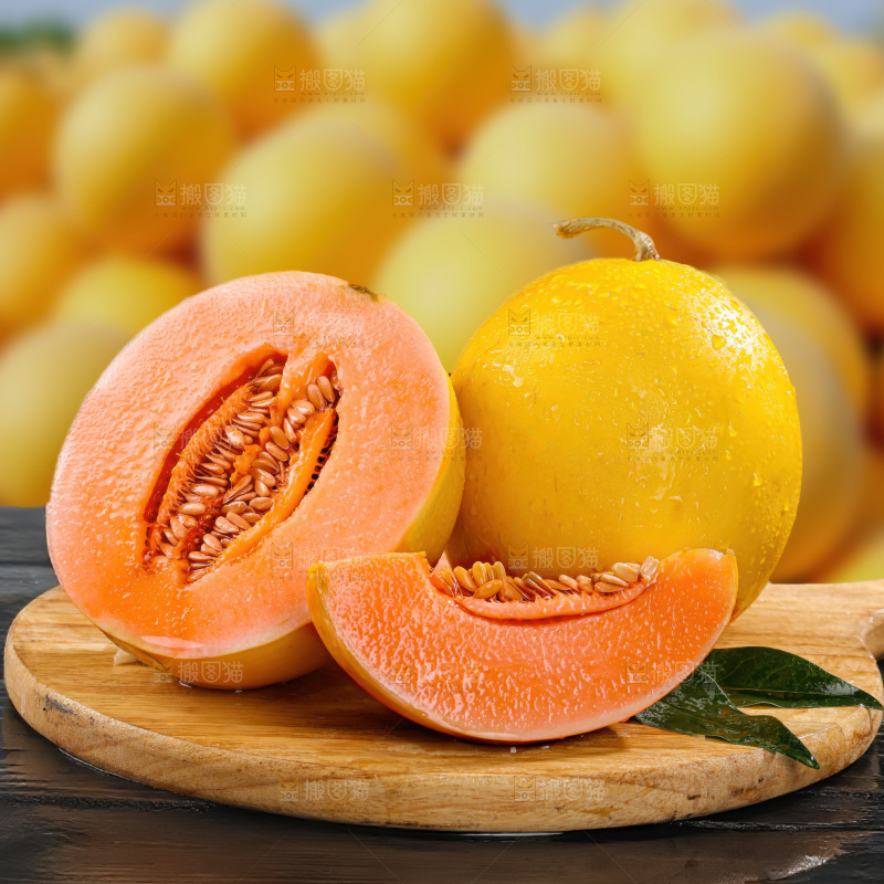 黄河蜜瓜