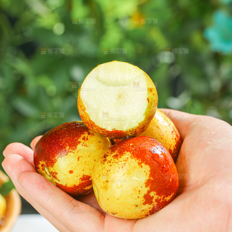 冬枣