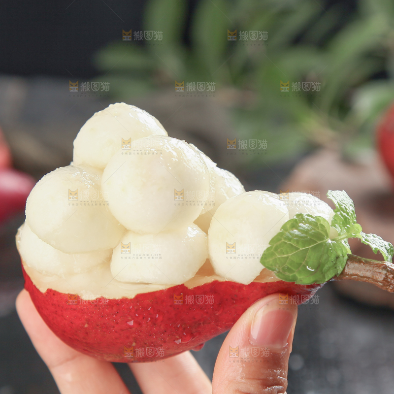 红啤梨