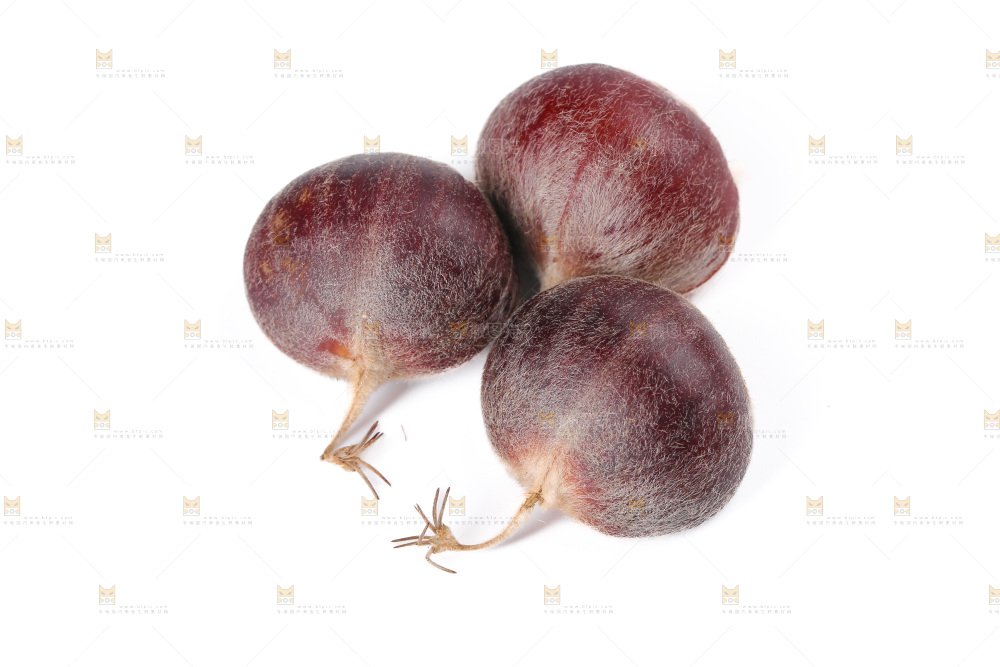 板栗