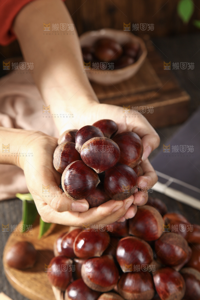 板栗