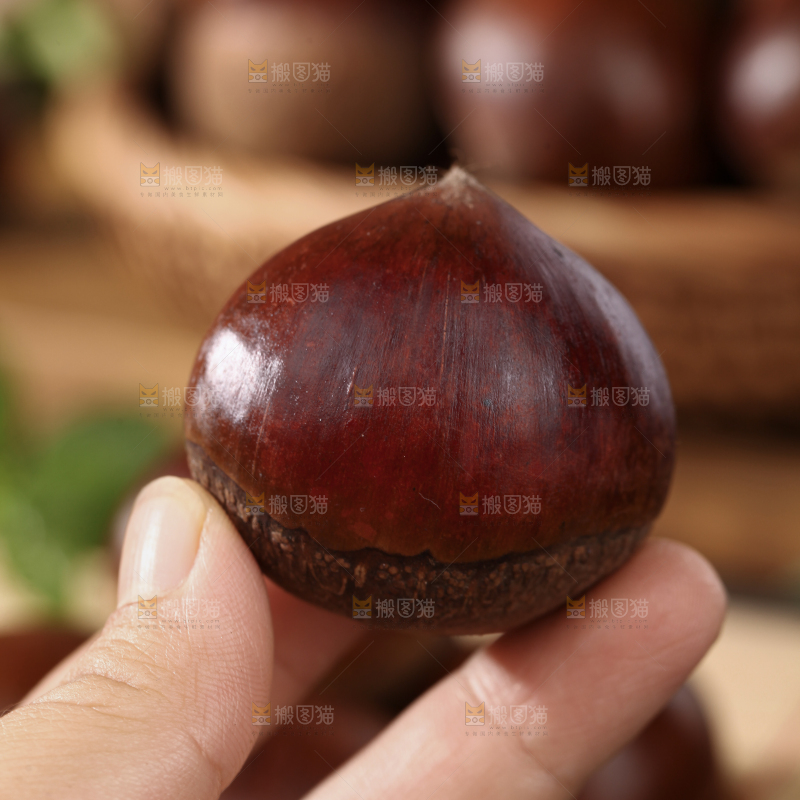 板栗