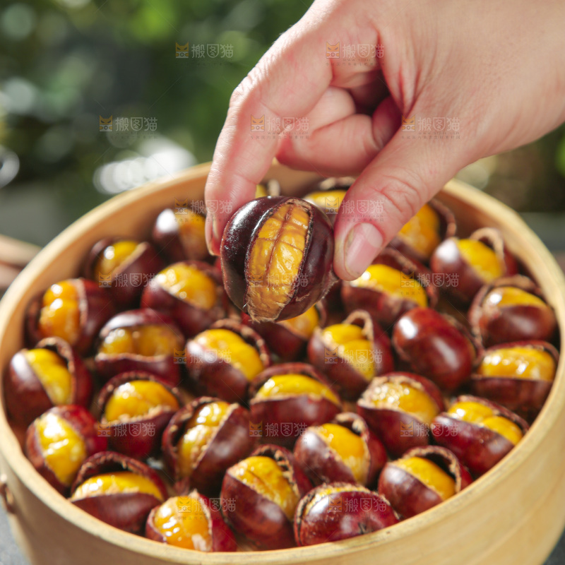 板栗