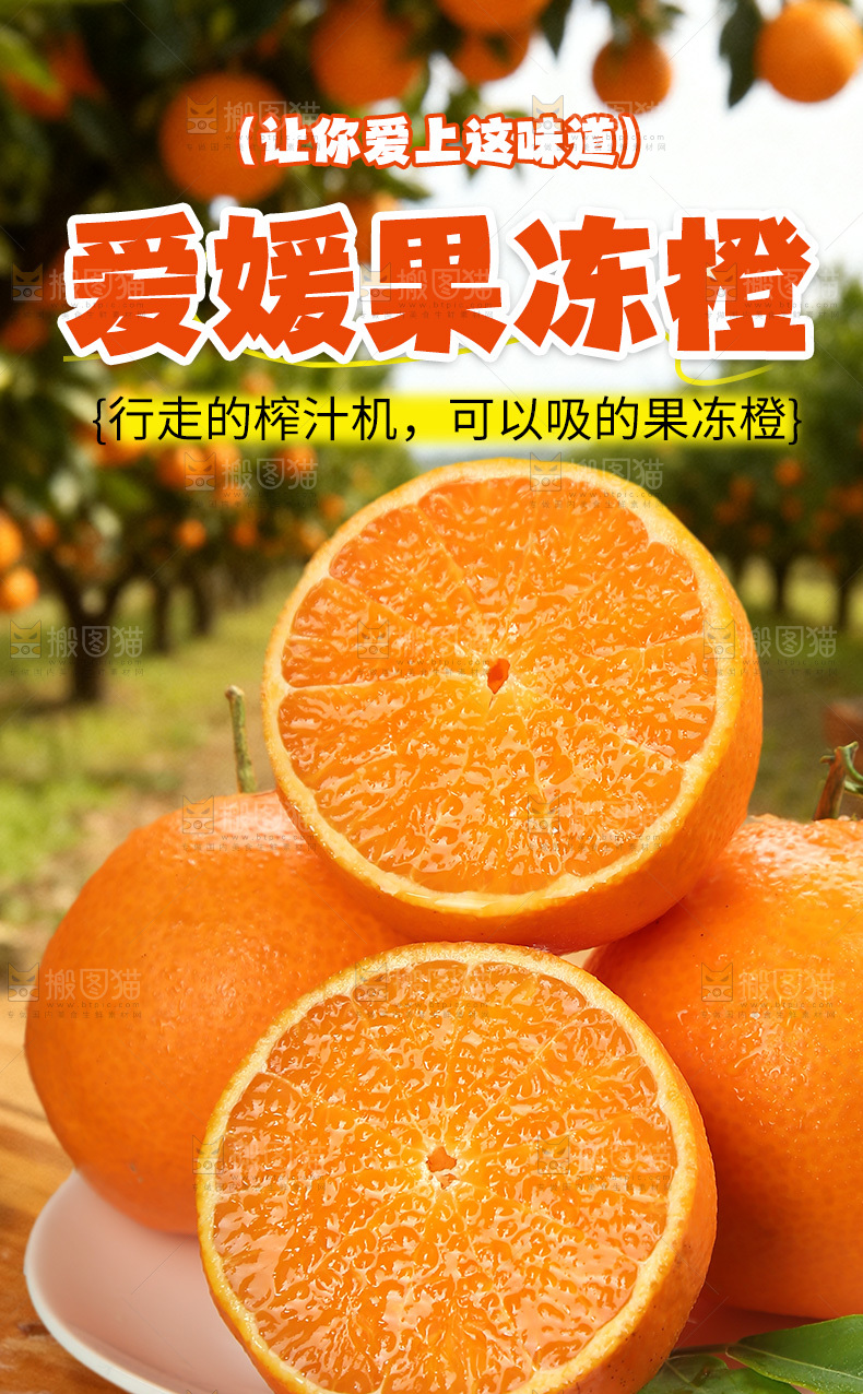 爱媛果冻橙详情页
