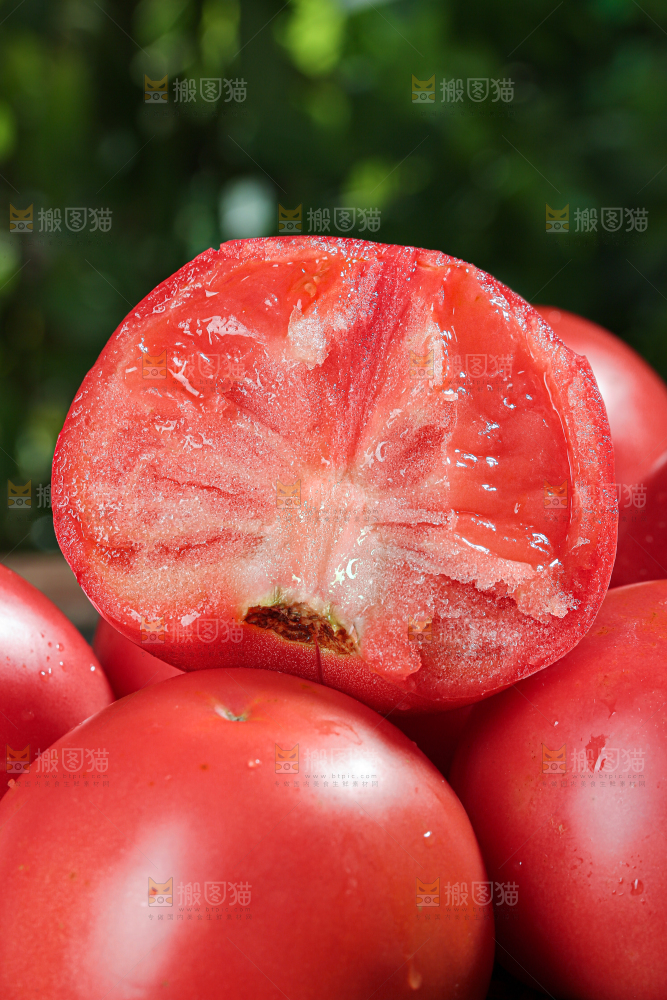 普罗旺斯西红柿