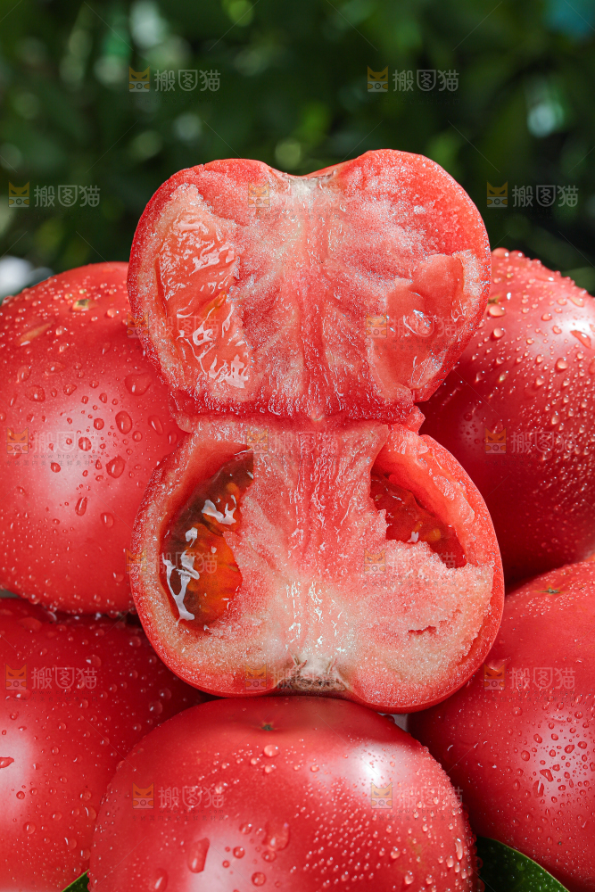 普罗旺斯西红柿