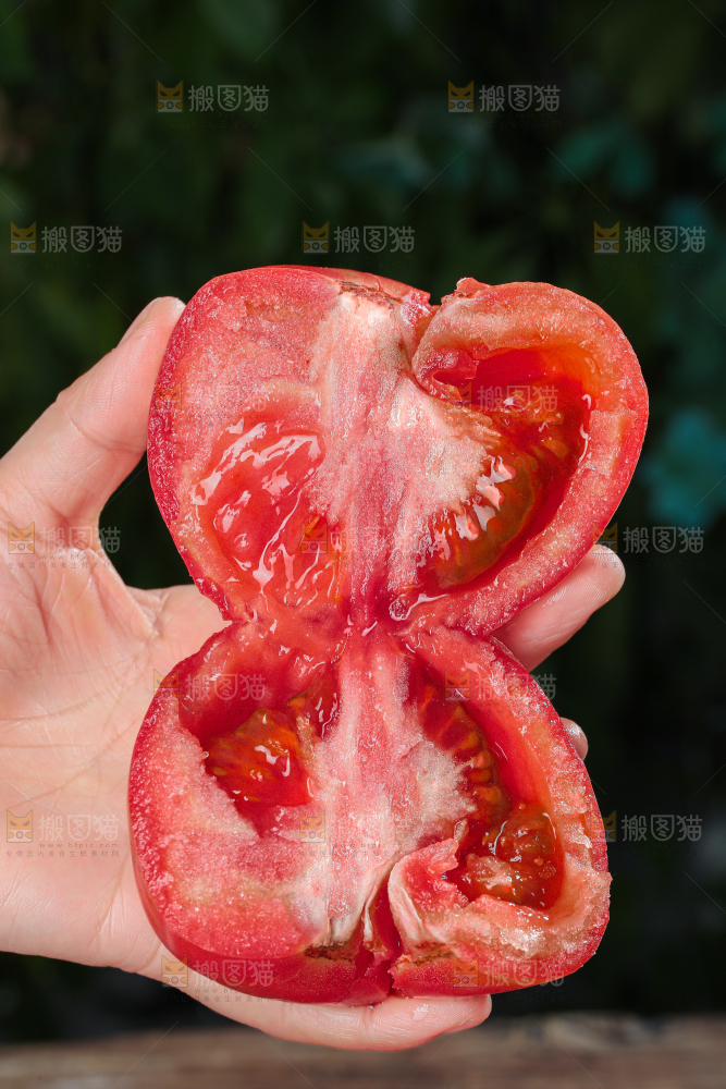 普罗旺斯西红柿