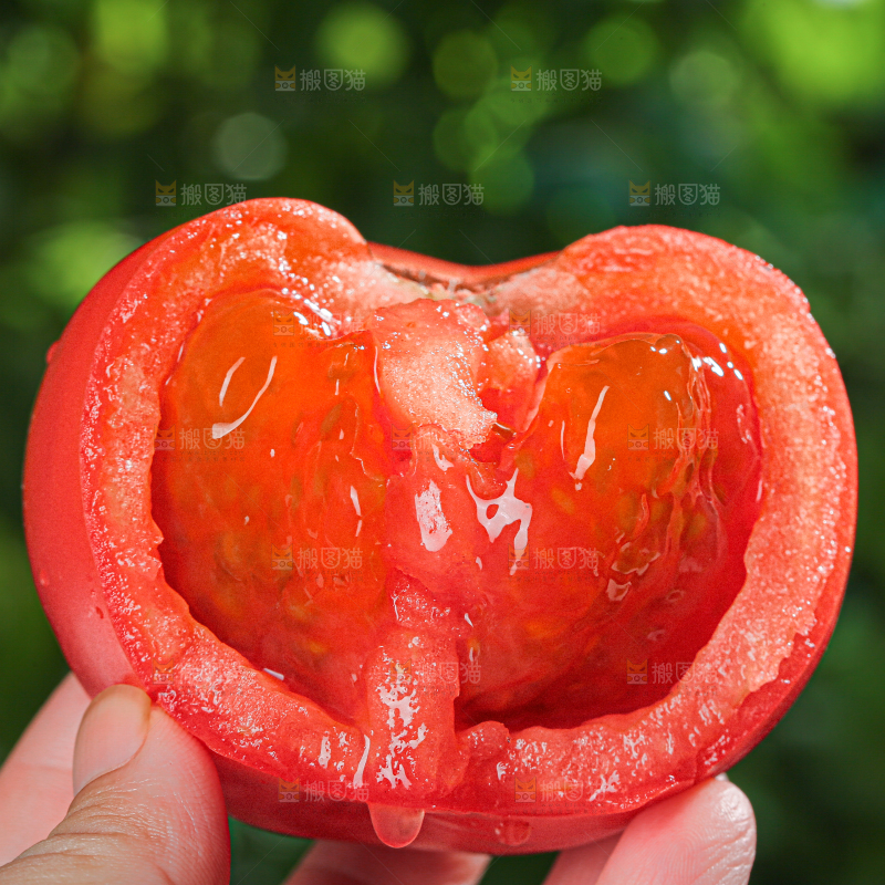 普罗旺斯西红柿