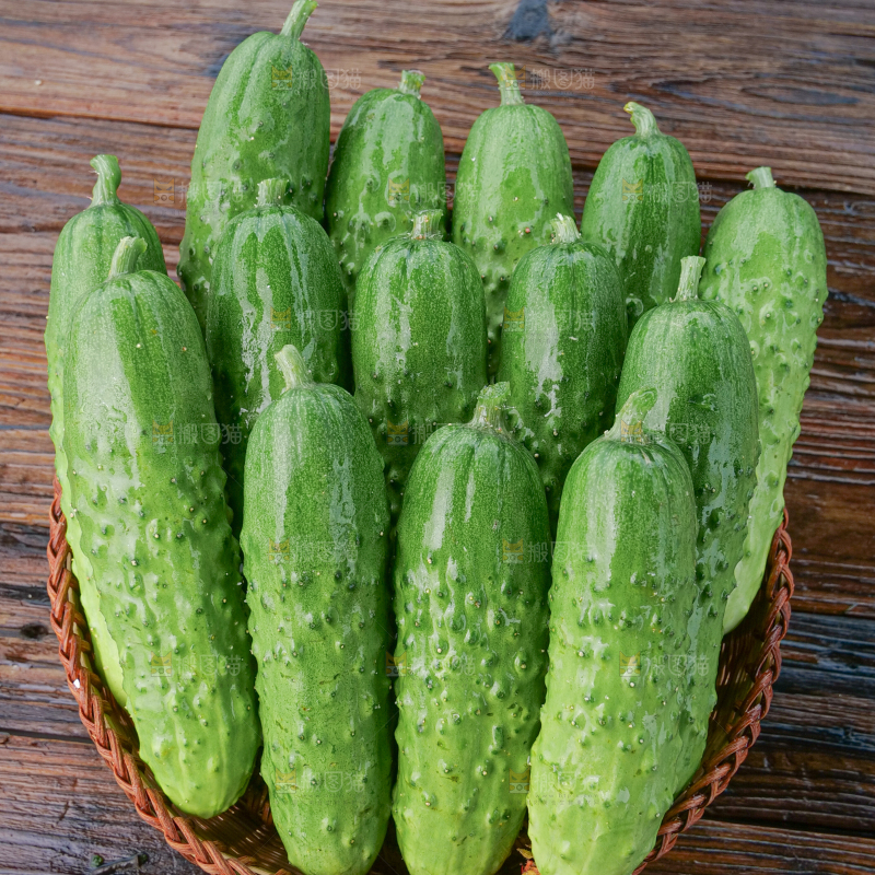 旱黄瓜