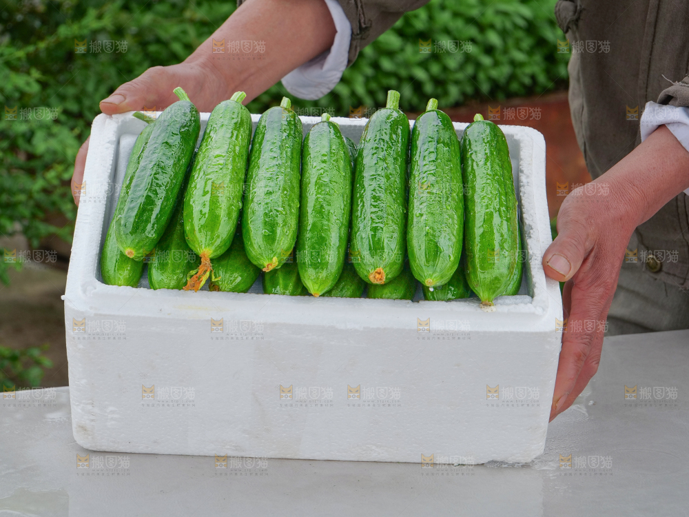 水果黄瓜