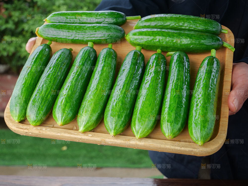 水果黄瓜