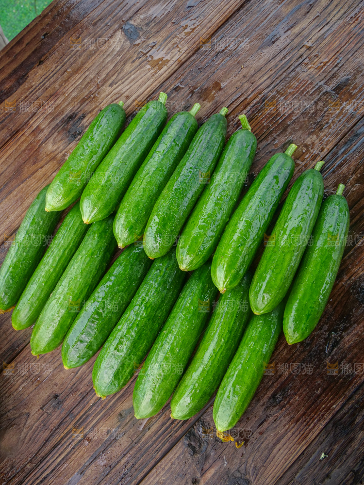 水果黄瓜