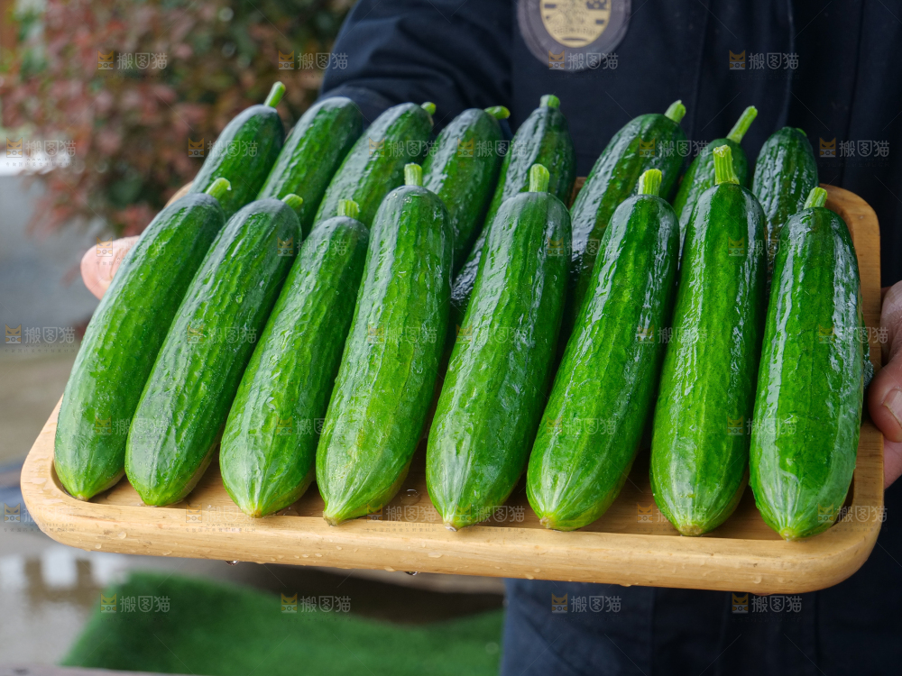 水果黄瓜
