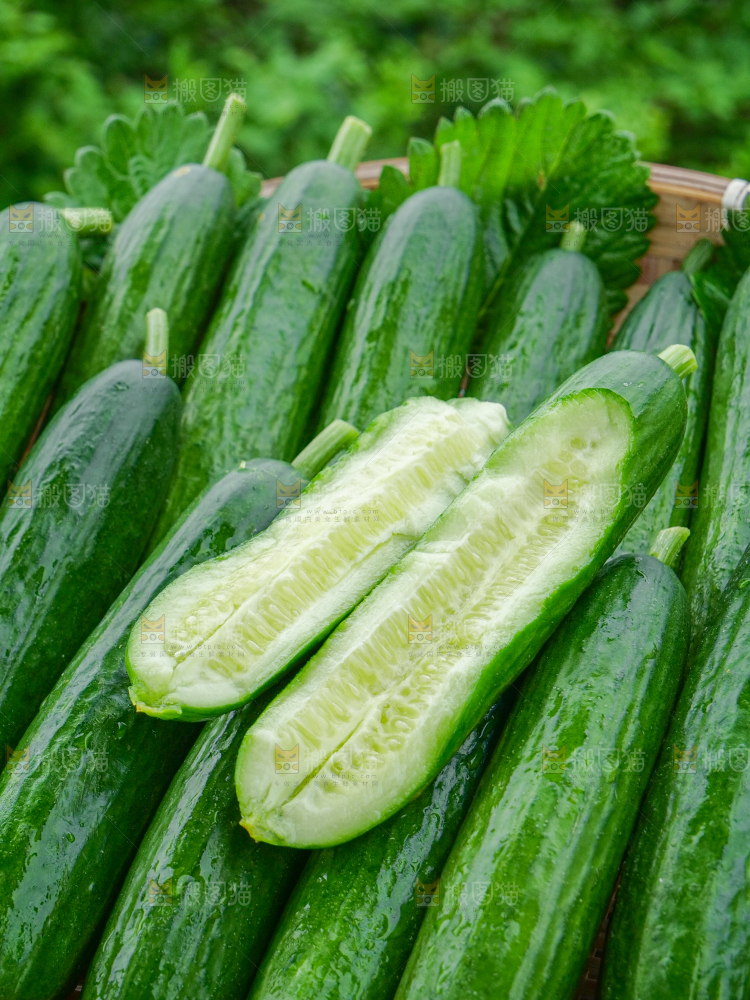 水果黄瓜