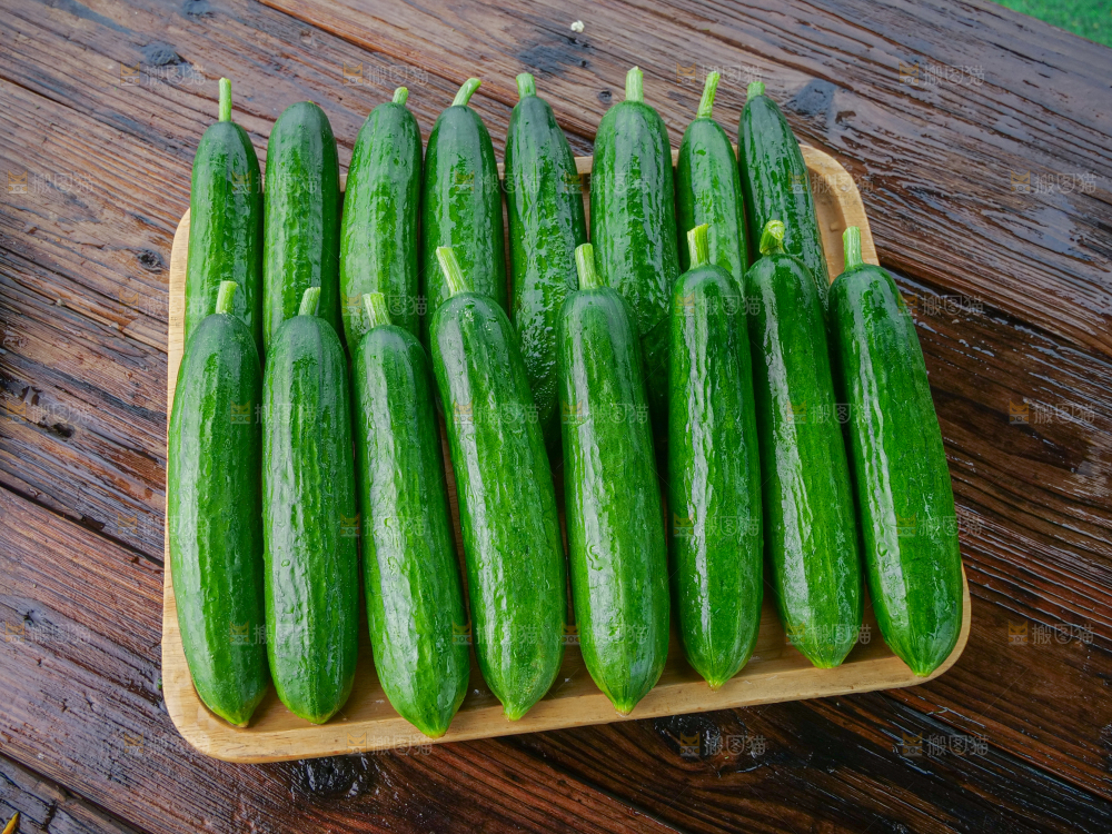 水果黄瓜