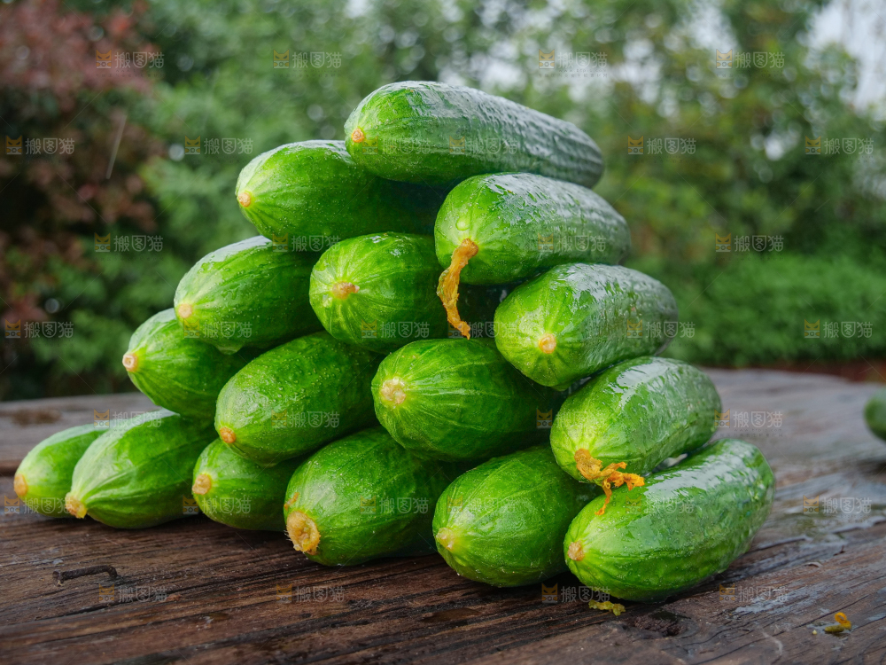 水果黄瓜