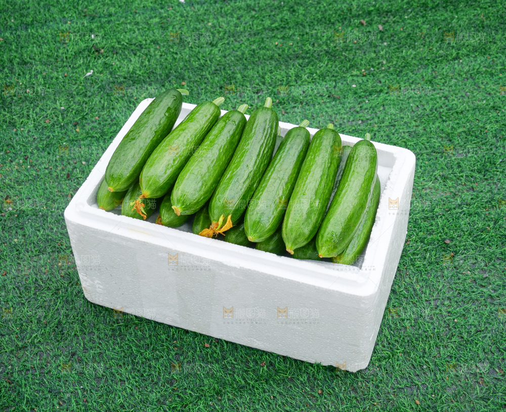 水果黄瓜