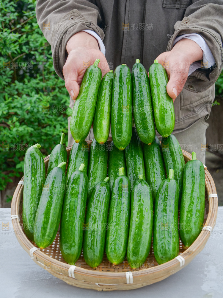 水果黄瓜