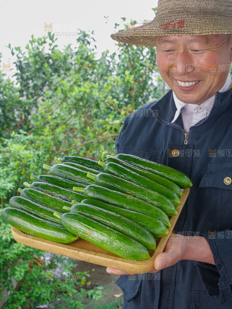水果黄瓜