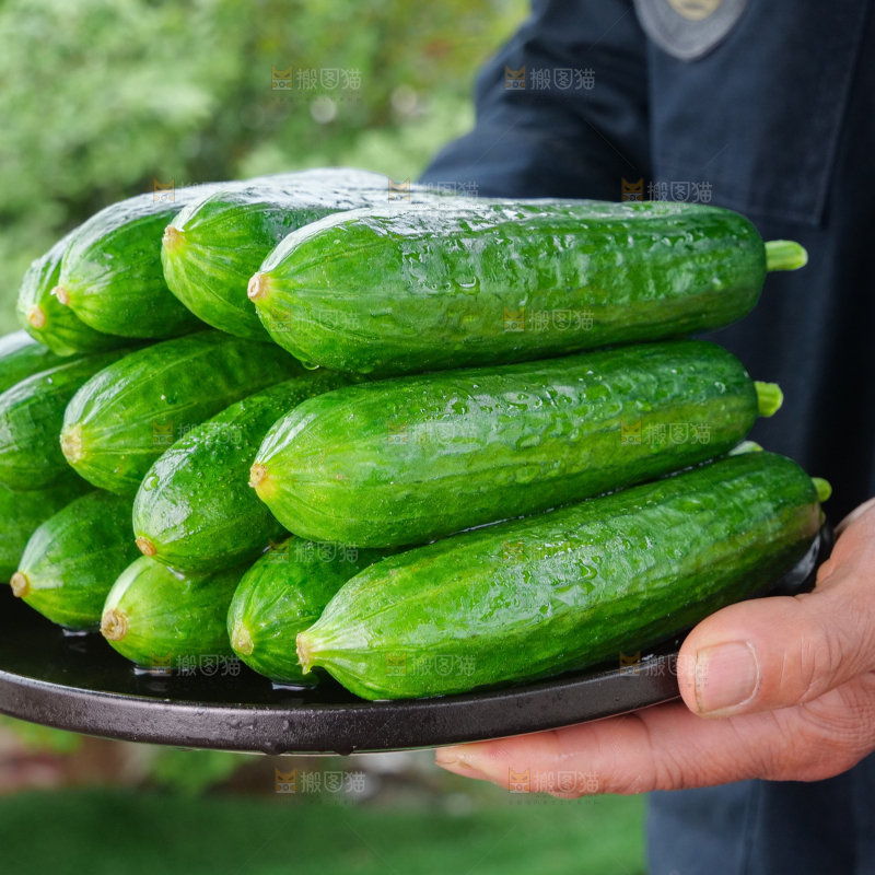水果黄瓜