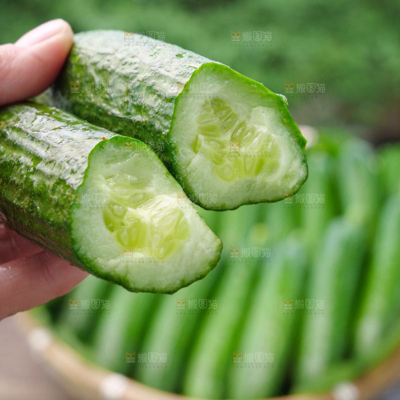 水果黄瓜