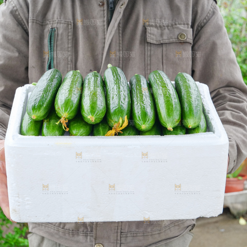 水果黄瓜