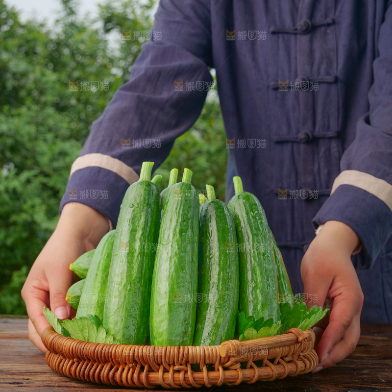 水果黄瓜