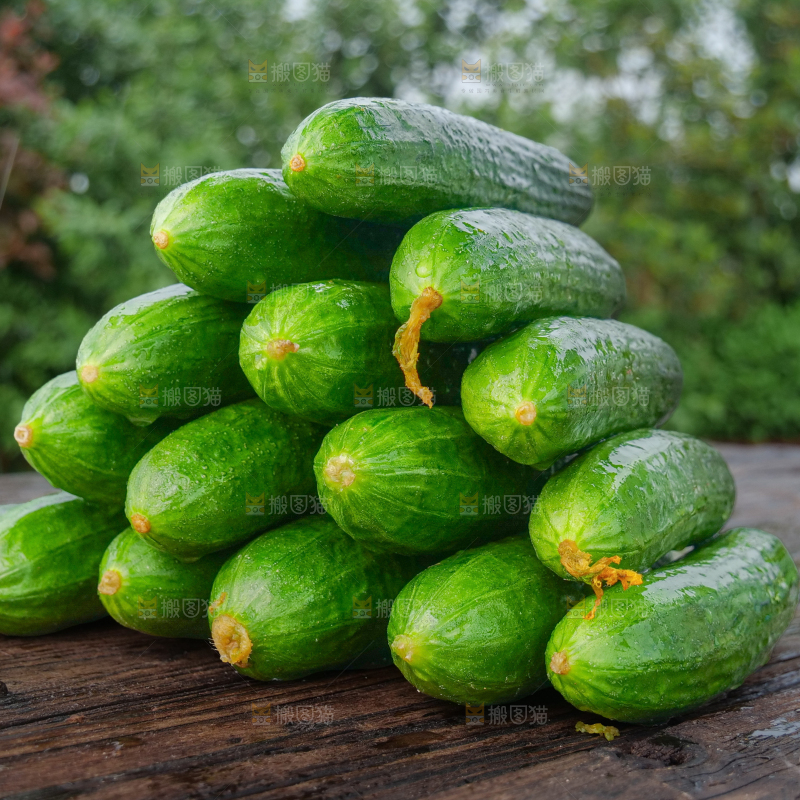 水果黄瓜