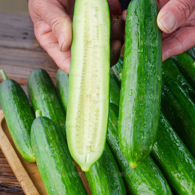 水果黄瓜