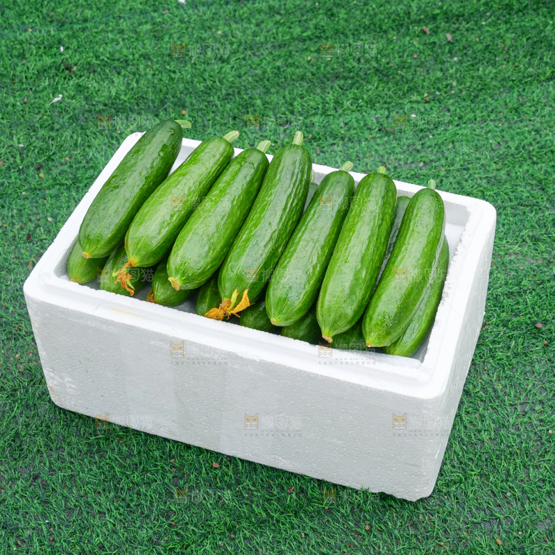 水果黄瓜