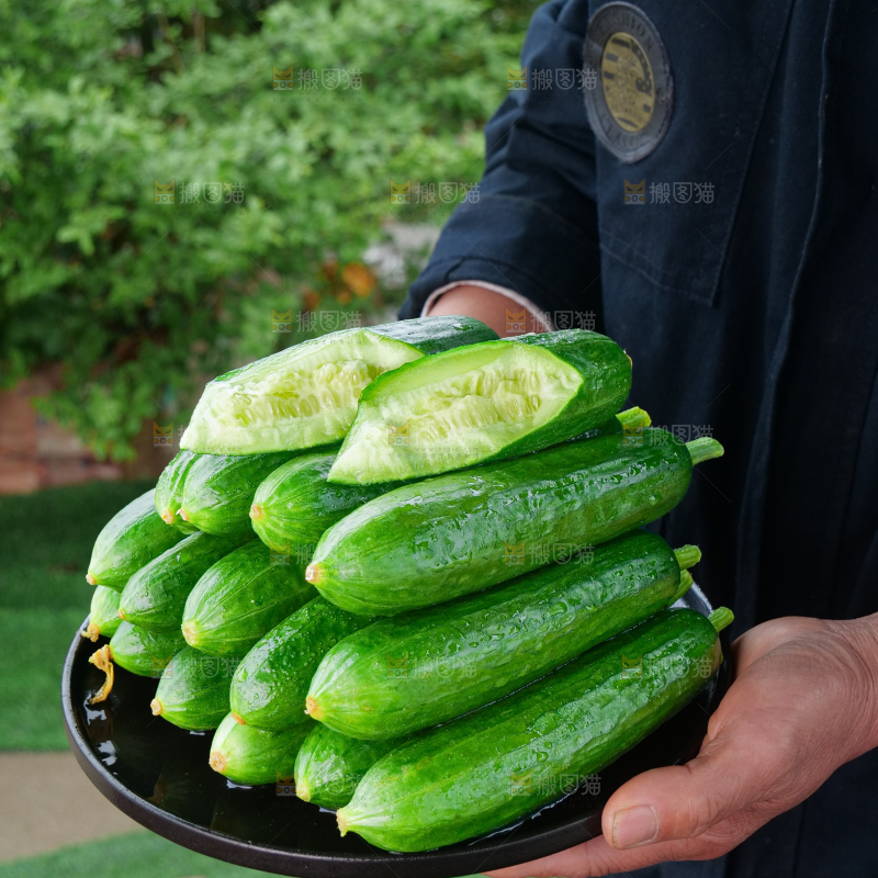 水果黄瓜