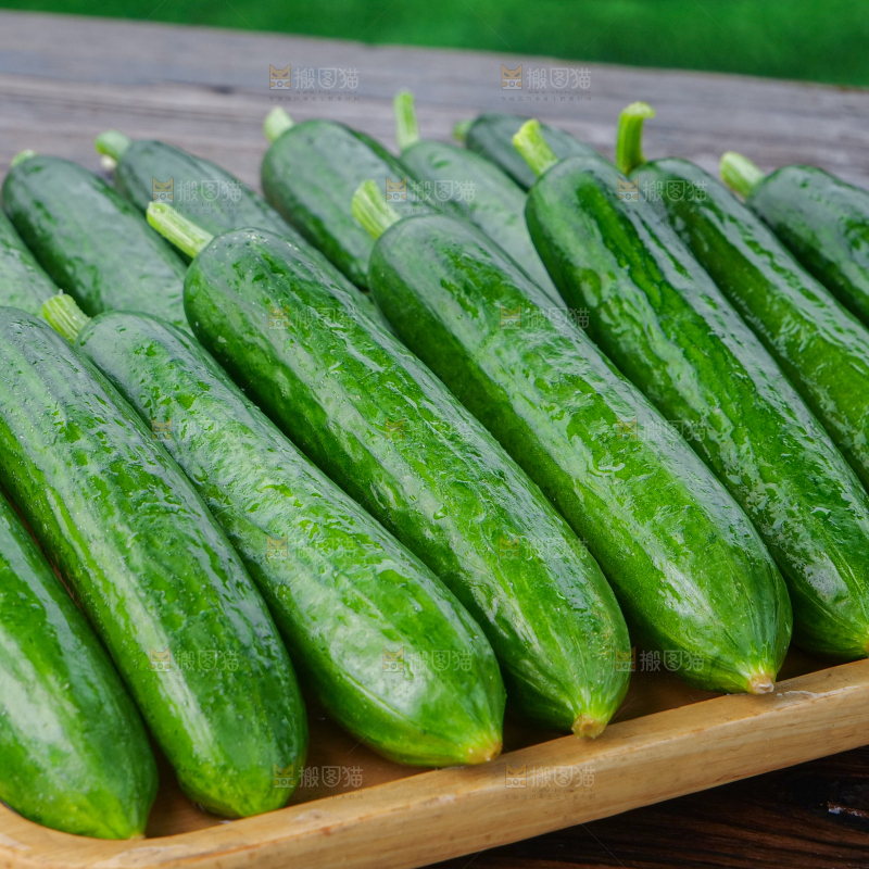 水果黄瓜